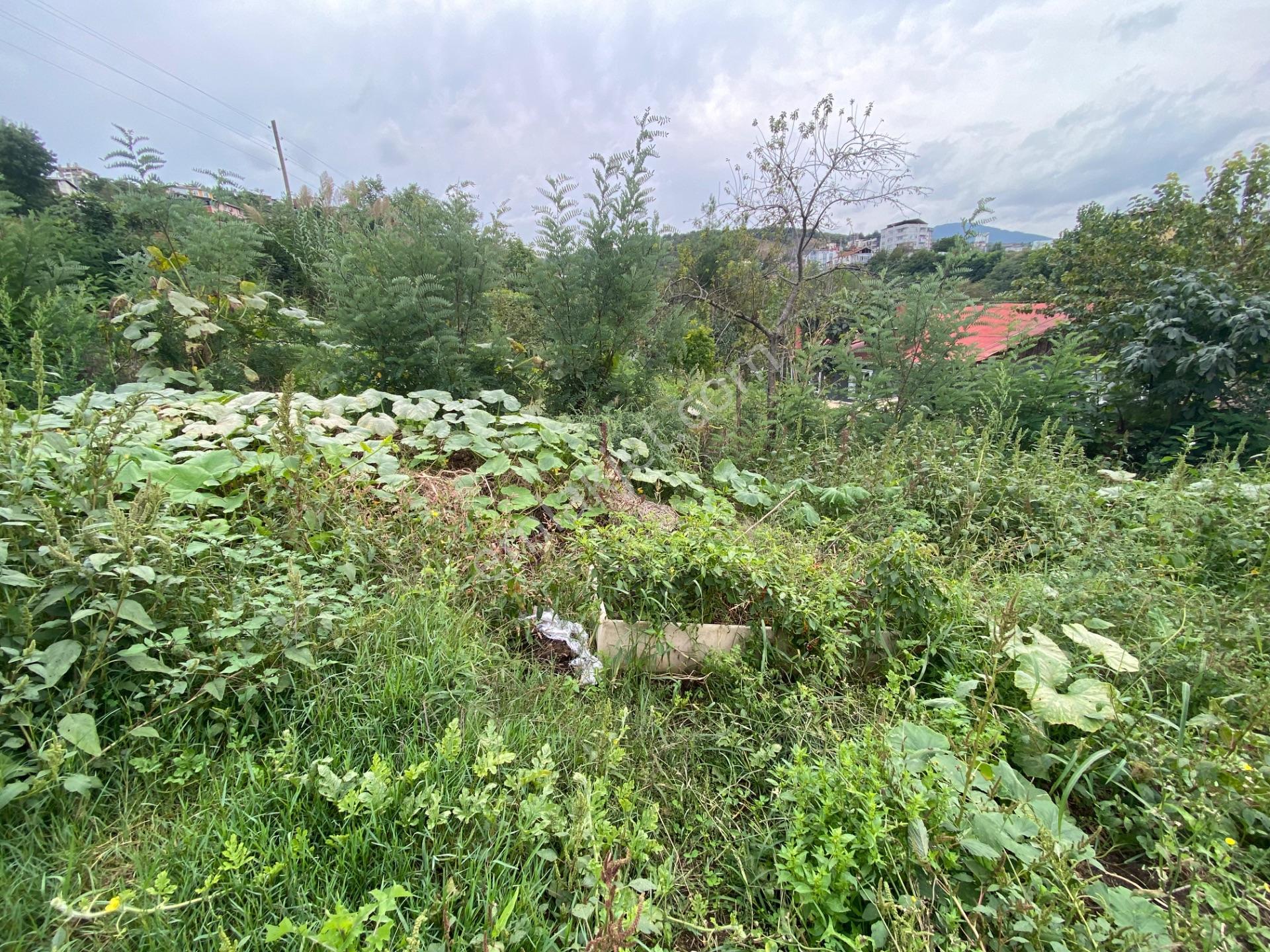 Furkan Emlak’tan Canik Hacı İsmail Mah.386m2 Tek Tapu Arsa — fotoğraf 14
