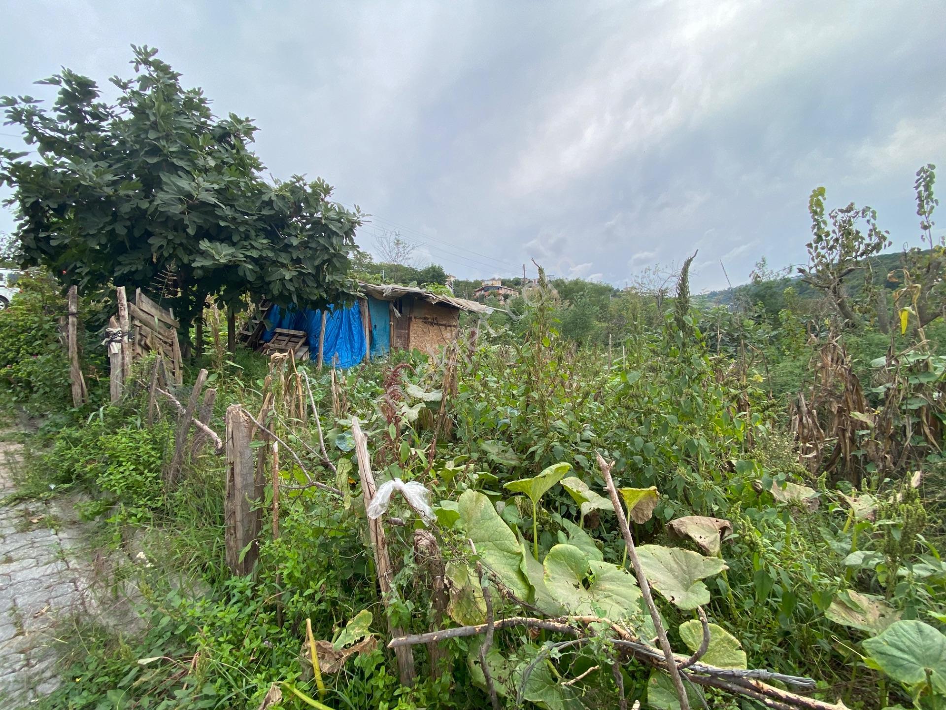 Furkan Emlak’tan Canik Hacı İsmail Mah.386m2 Tek Tapu Arsa — fotoğraf 15