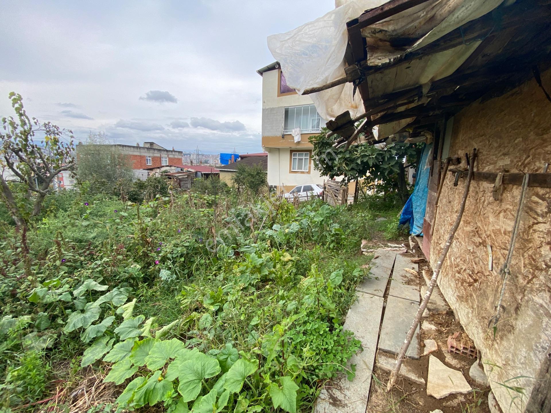 Furkan Emlak’tan Canik Hacı İsmail Mah.386m2 Tek Tapu Arsa — fotoğraf 16