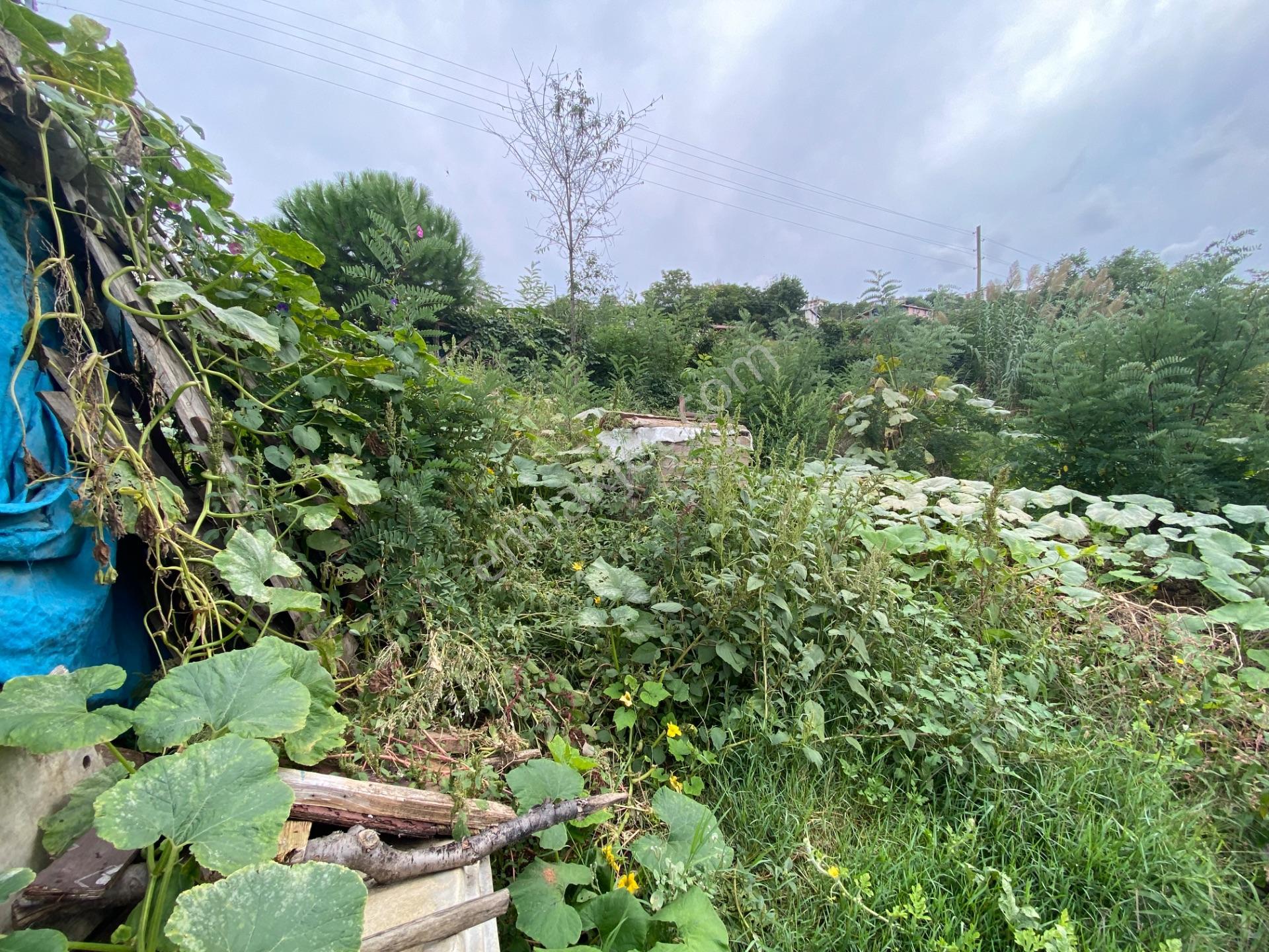 Furkan Emlak’tan Canik Hacı İsmail Mah.386m2 Tek Tapu Arsa — fotoğraf 18