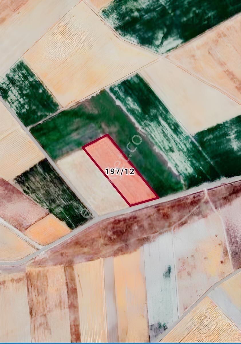 Bünyan Elbaşıda 16161 M2 Sulu Tarla — fotoğraf 2