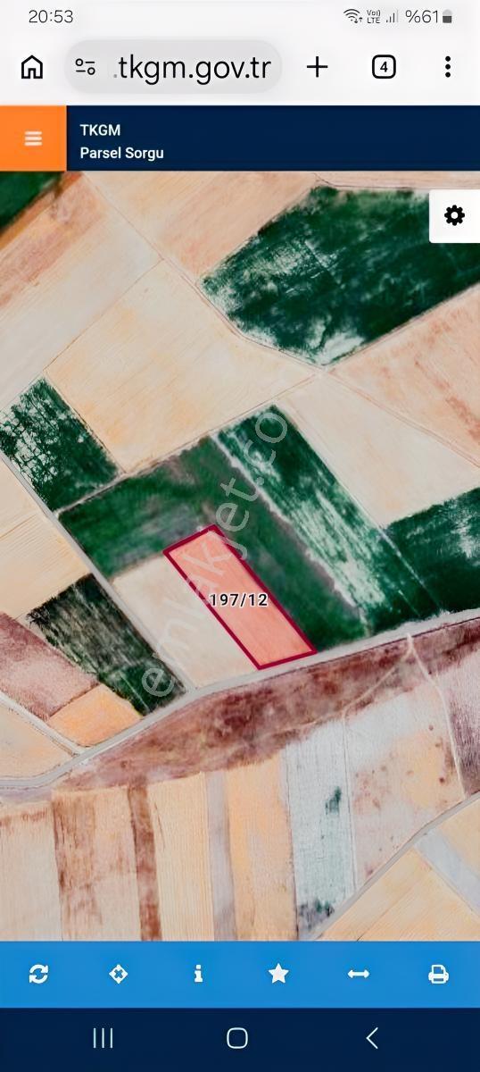 Bünyan Elbaşıda 16161 M2 Sulu Tarla — fotoğraf 3