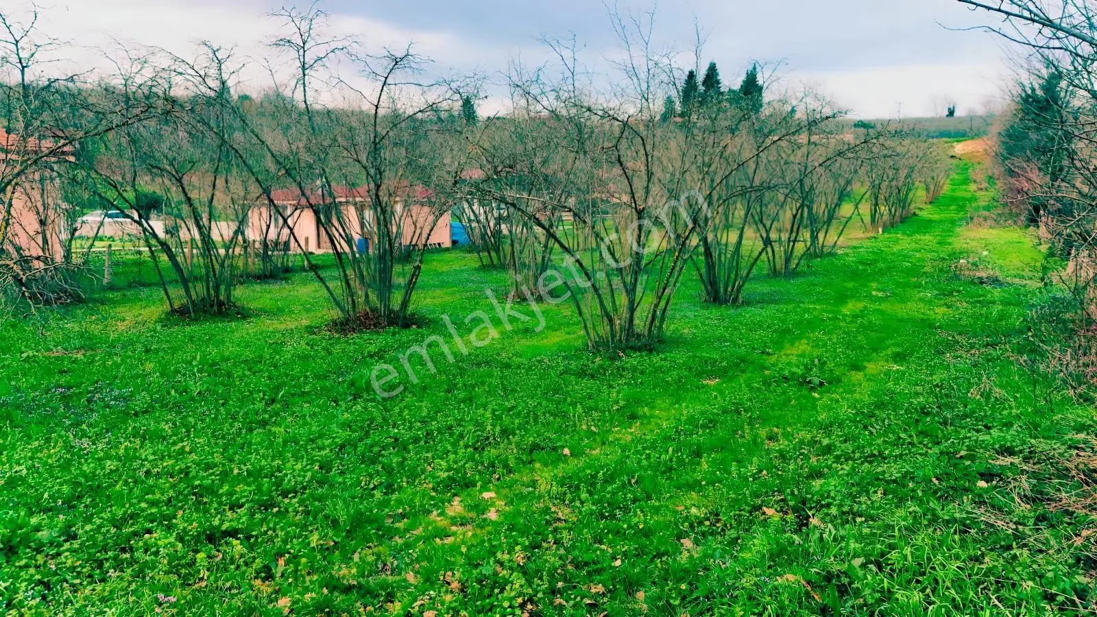 Balcıoğlundan Yola Cephe Köşe İmarlı Ruhsatlı 450m2 Düz Arsa ! — fotoğraf 3