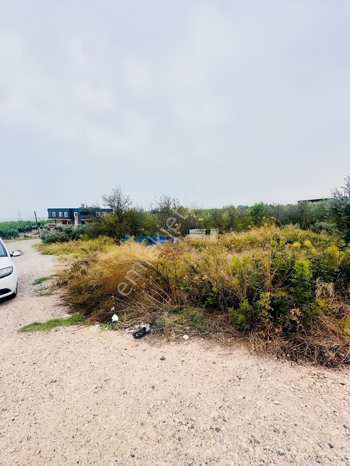 Aziz Emlak'tan Resul Köyü'nde Satılık 2 Dönüm Mersin Manzaralı — fotoğraf 3