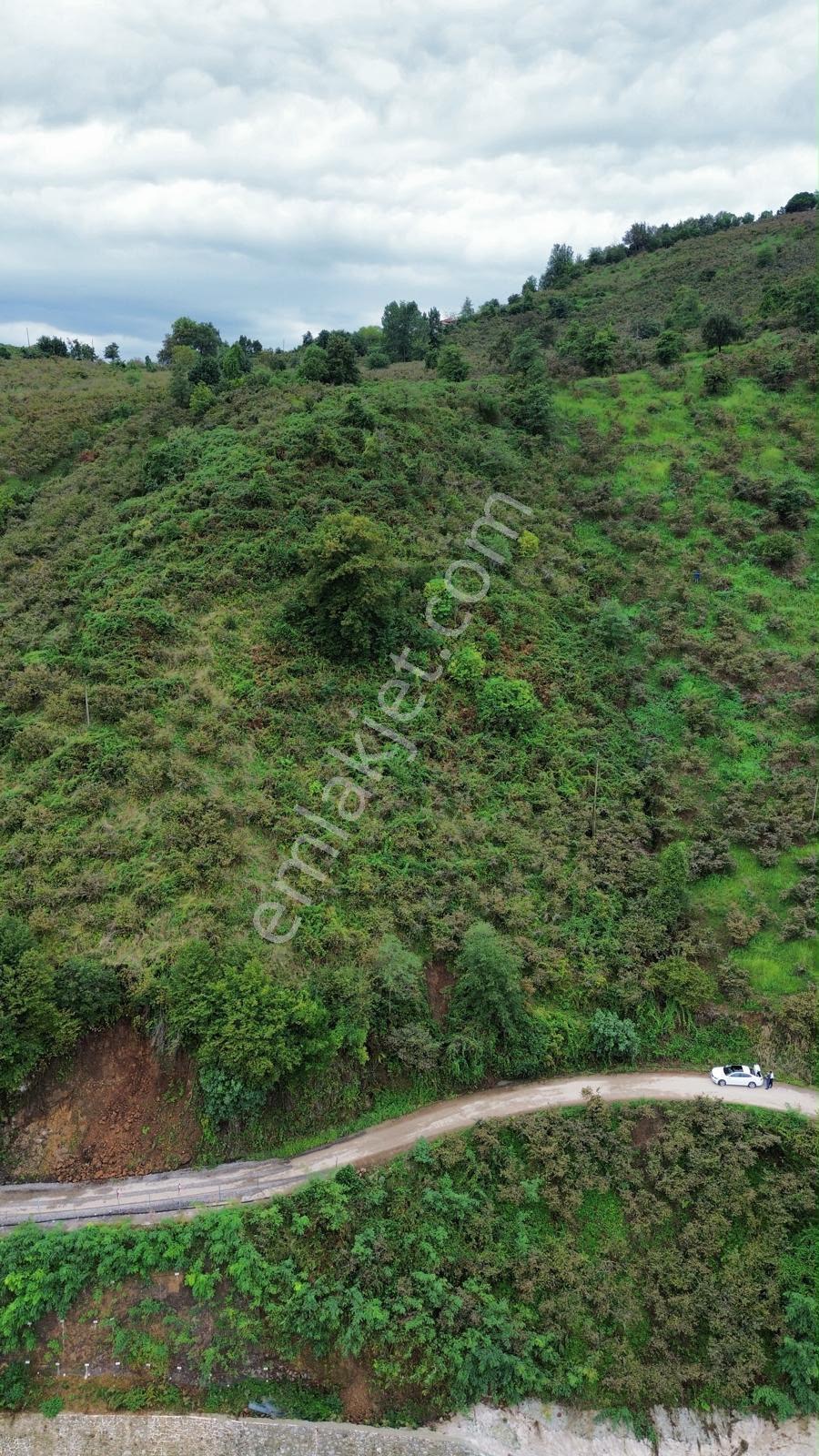 Ordu Giresun Havaalanı Karşısı Yatırımlık Arsa / 40.000.000 Tl — fotoğraf 2