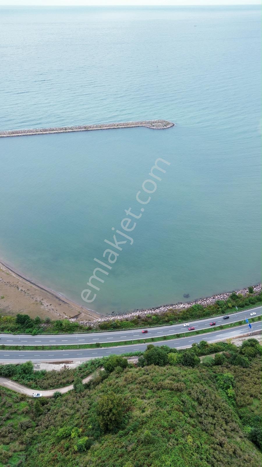Ordu Giresun Havaalanı Karşısı Yatırımlık Arsa / 40.000.000 Tl — fotoğraf 3