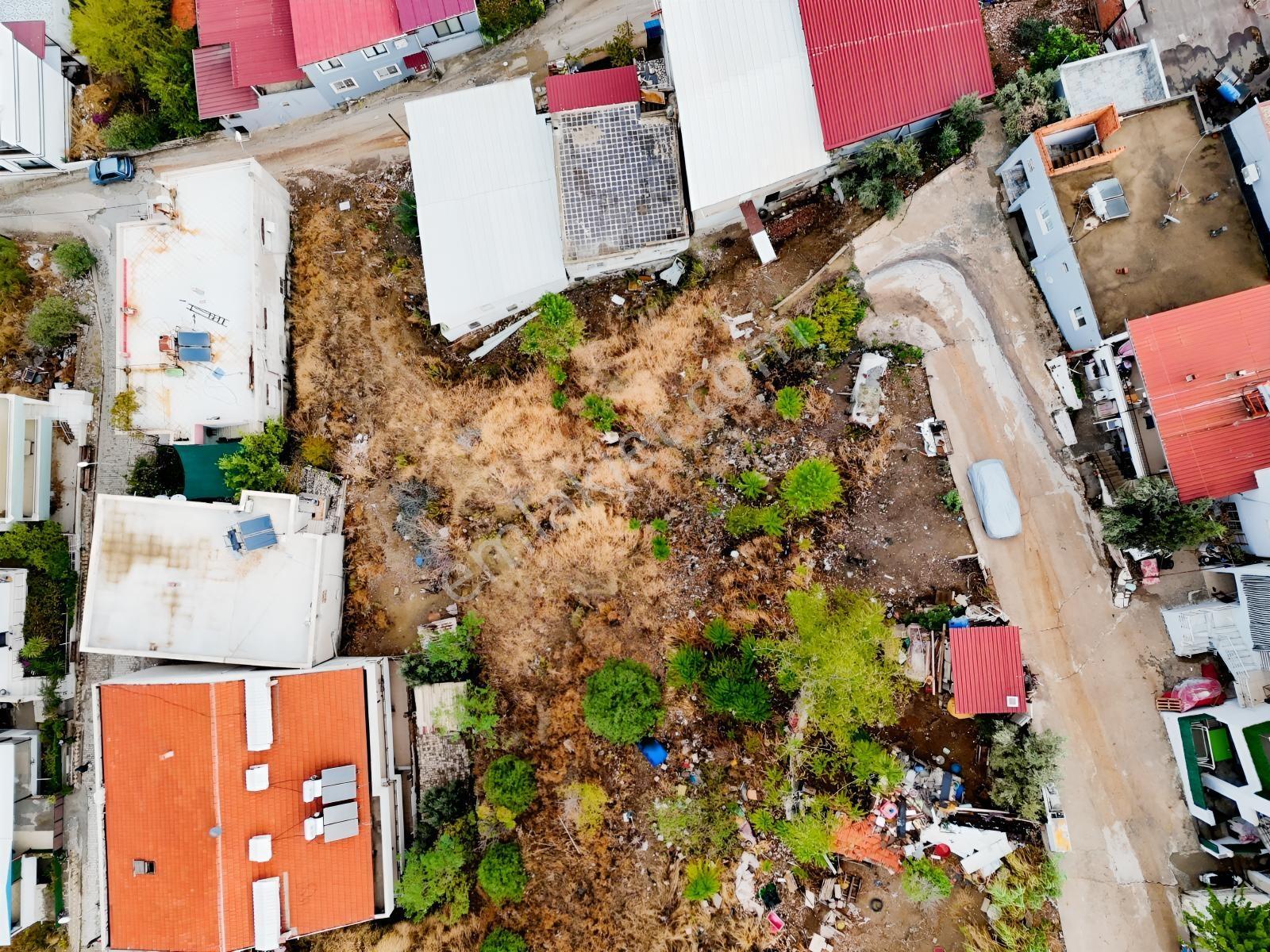 Milas Burgaz'da 656 M² Bitişik Nizam 2 Kat Kot Avantajlı Arsa — fotoğraf 8