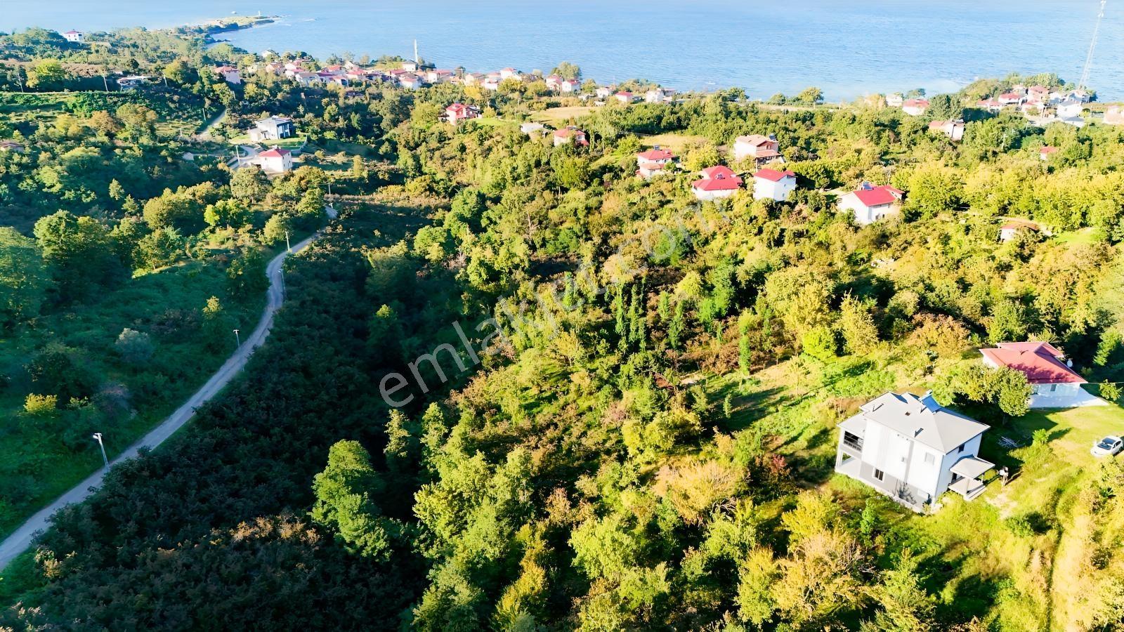 Turyaptan Yason Burnunda Parsellenebilir Satılık 2.297 M² Arazi.