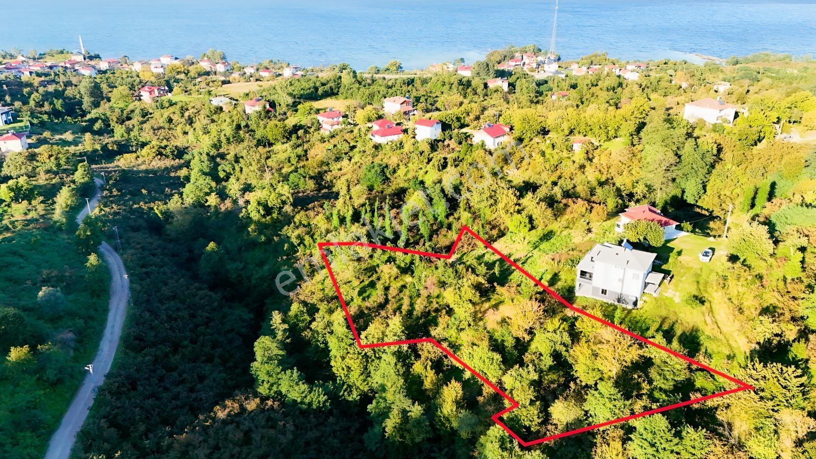 Turyaptan Yason Burnunda Parsellenebilir Satılık 2.297 M² Arazi. — fotoğraf 4