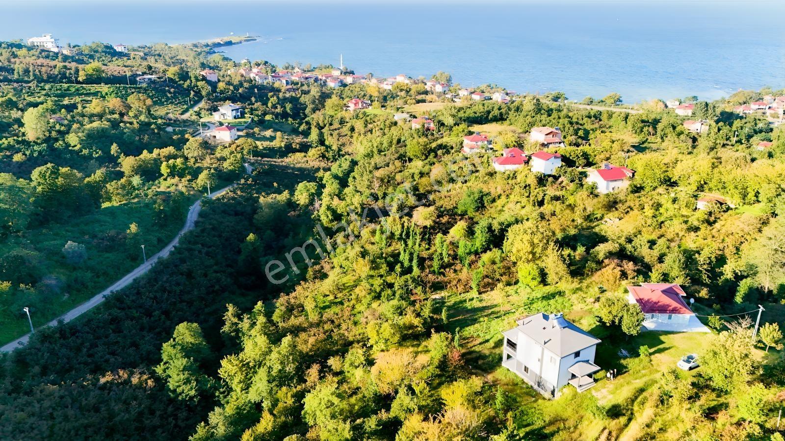 Turyaptan Yason Burnunda Parsellenebilir Satılık 2.297 M² Arazi. — fotoğraf 5