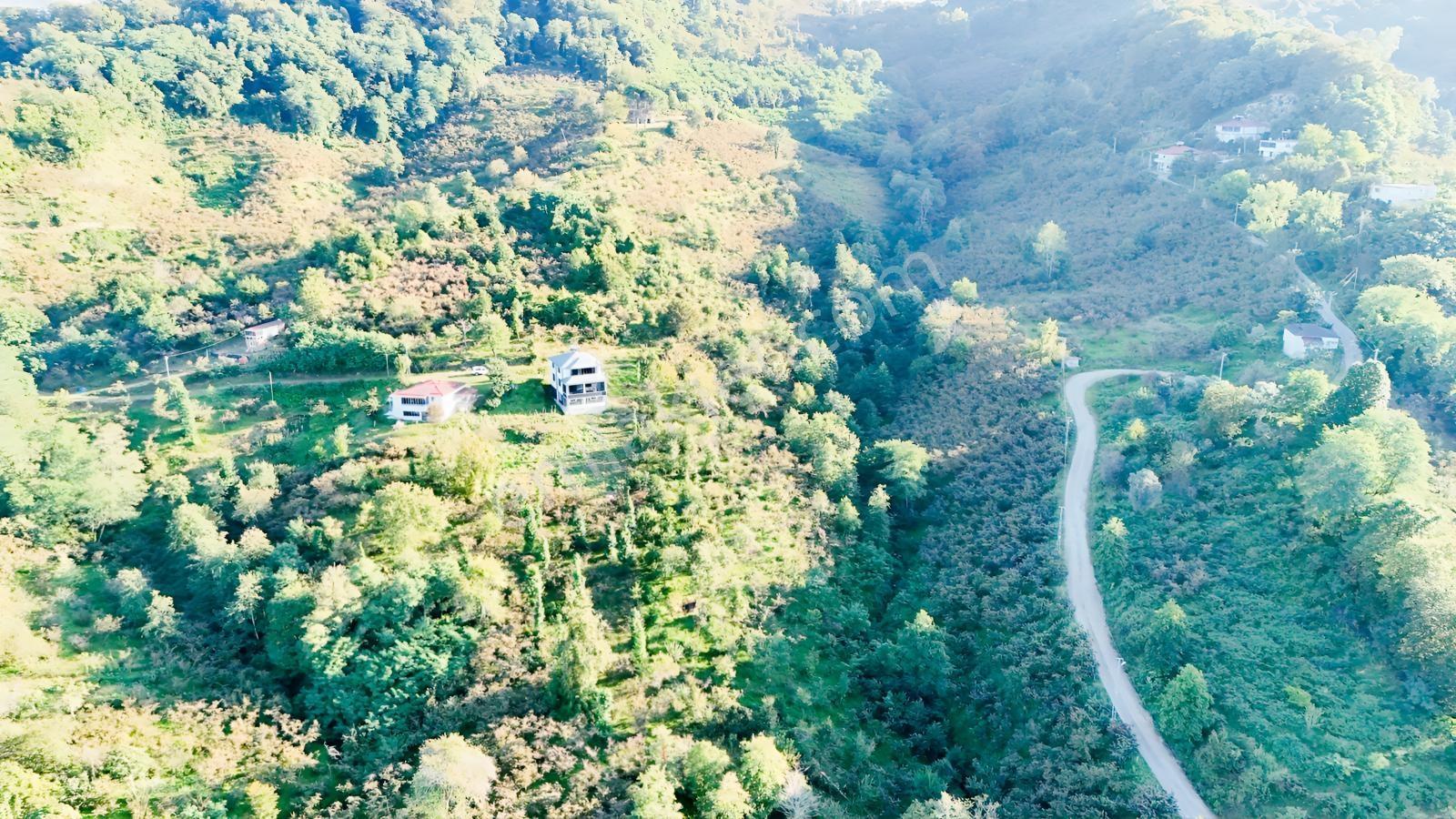 Turyaptan Yason Burnunda Parsellenebilir Satılık 2.297 M² Arazi. — fotoğraf 6