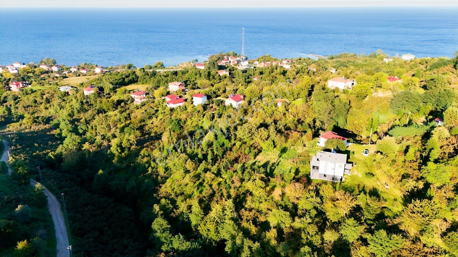 Turyaptan Yason Burnunda Parsellenebilir Satılık 2.297 M² Arazi. — fotoğraf 7