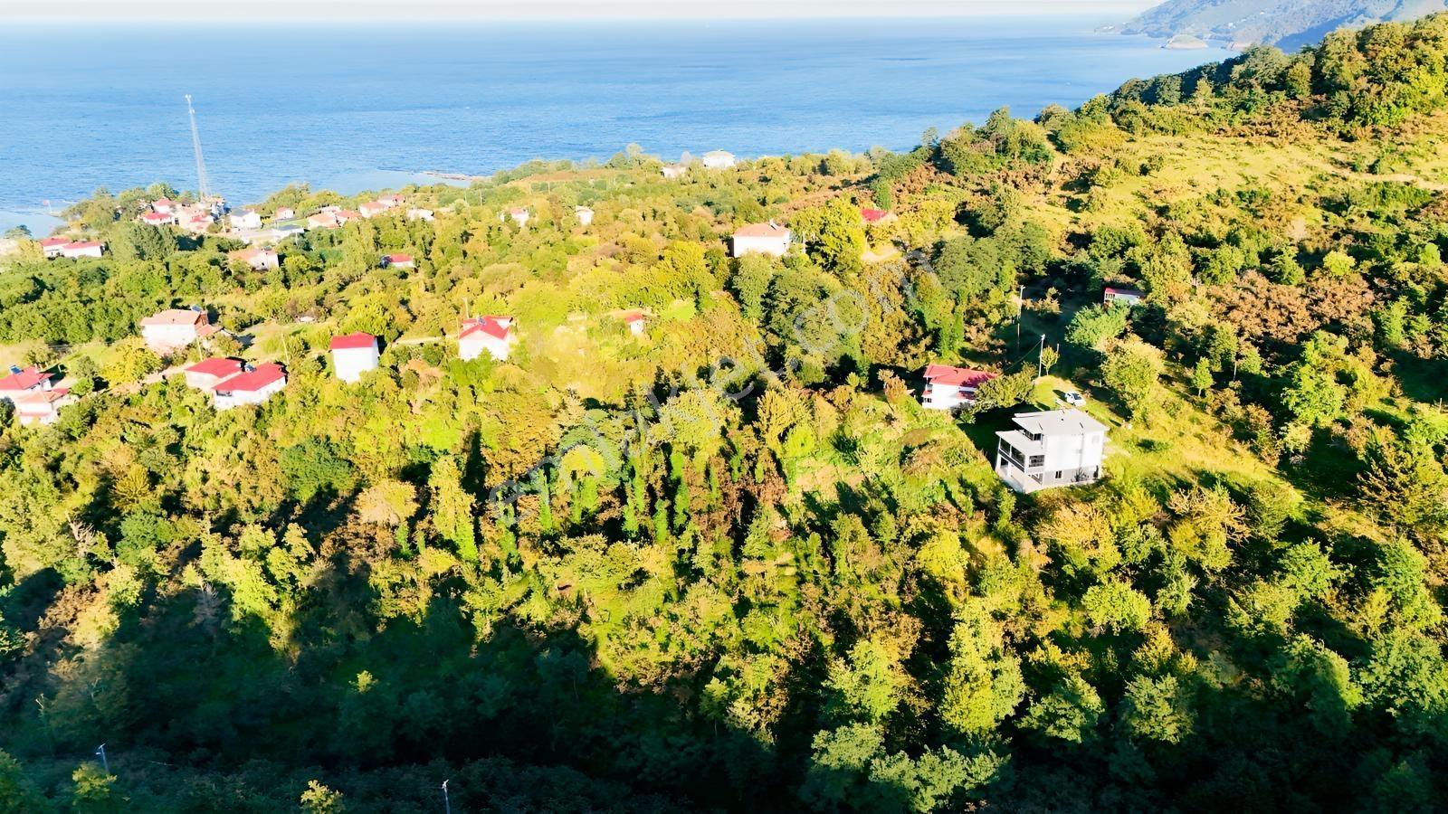 Turyaptan Yason Burnunda Parsellenebilir Satılık 2.297 M² Arazi. — fotoğraf 8