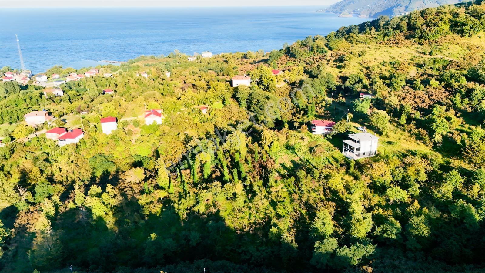 Turyaptan Yason Burnunda Parsellenebilir Satılık 2.297 M² Arazi. — fotoğraf 9