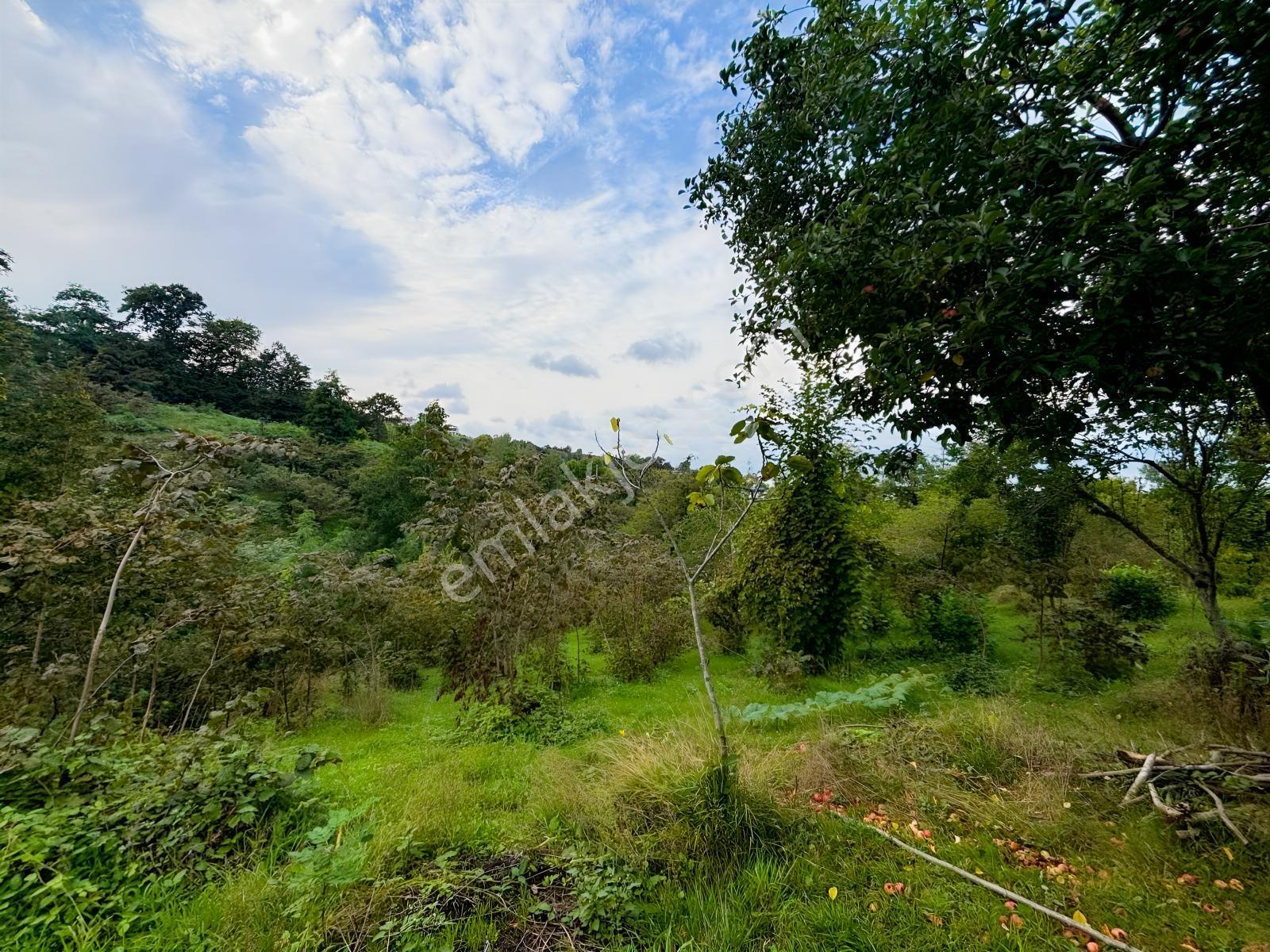 Turyaptan Yason Burnunda Parsellenebilir Satılık 2.297 M² Arazi. — fotoğraf 17