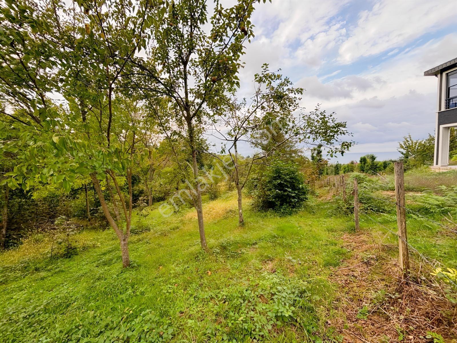 Turyaptan Yason Burnunda Parsellenebilir Satılık 2.297 M² Arazi. — fotoğraf 26