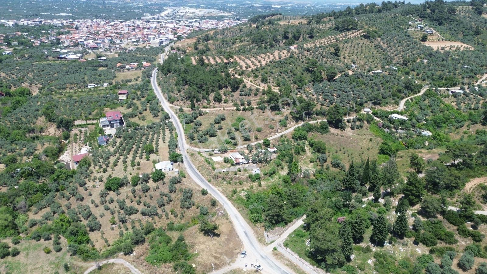 Erz'den Kemalpaşa Armutluda 2 Adet Ayrı Ayrı Tek Tapulu Bahçe — fotoğraf 2
