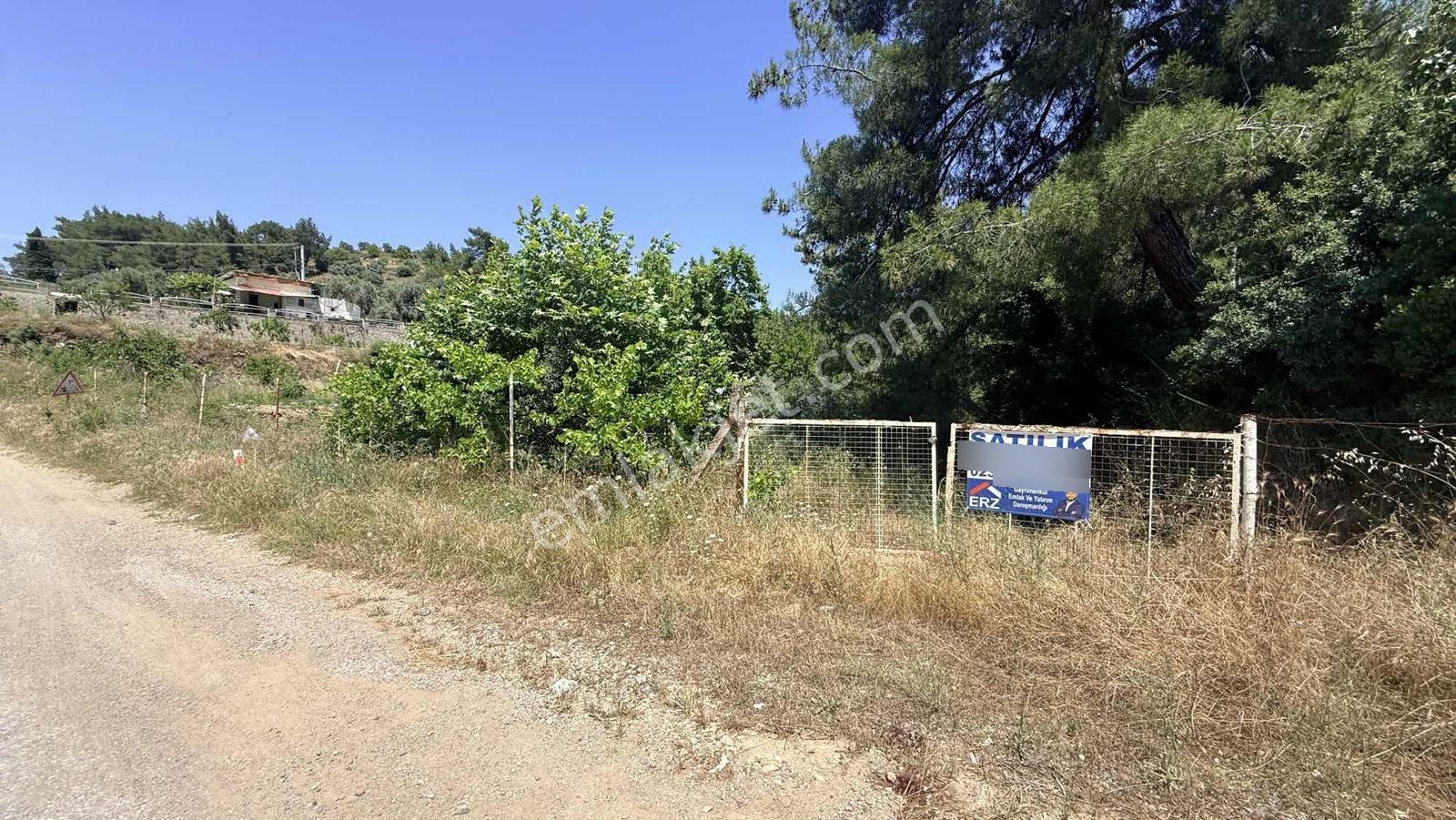 Erz'den Kemalpaşa Armutluda 2 Adet Ayrı Ayrı Tek Tapulu Bahçe — fotoğraf 6