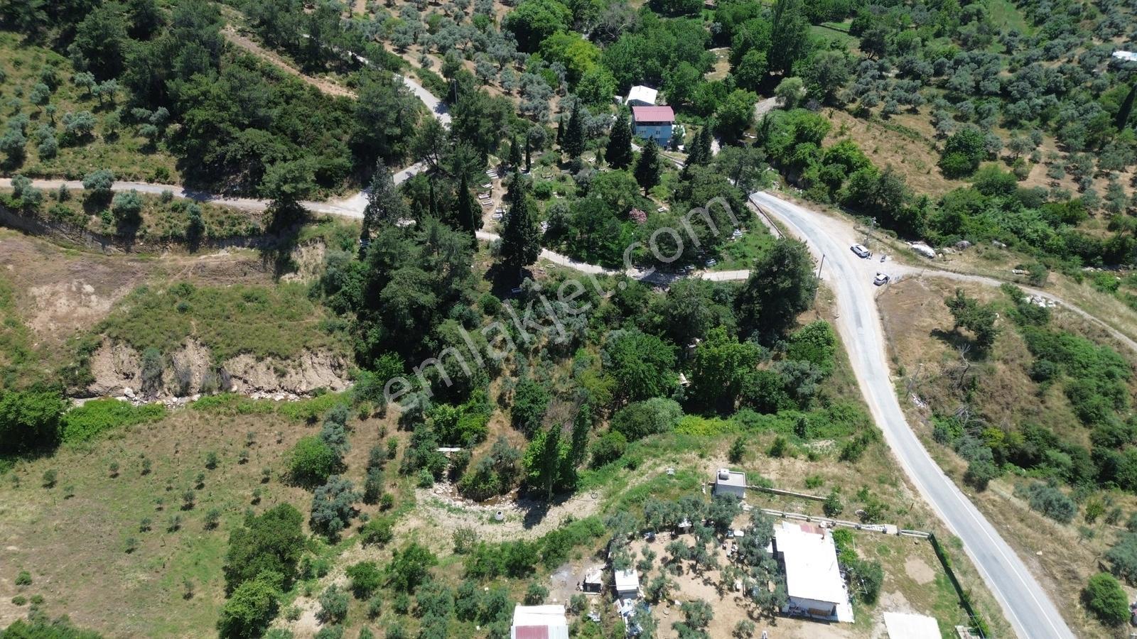 Erz'den Kemalpaşa Armutluda 2 Adet Ayrı Ayrı Tek Tapulu Bahçe — fotoğraf 7