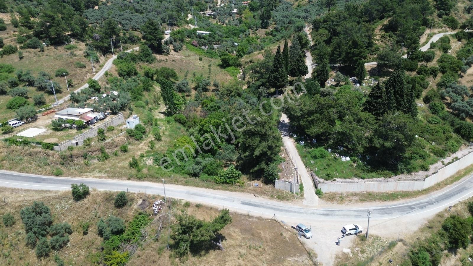 Erz'den Kemalpaşa Armutluda 2 Adet Ayrı Ayrı Tek Tapulu Bahçe — fotoğraf 8