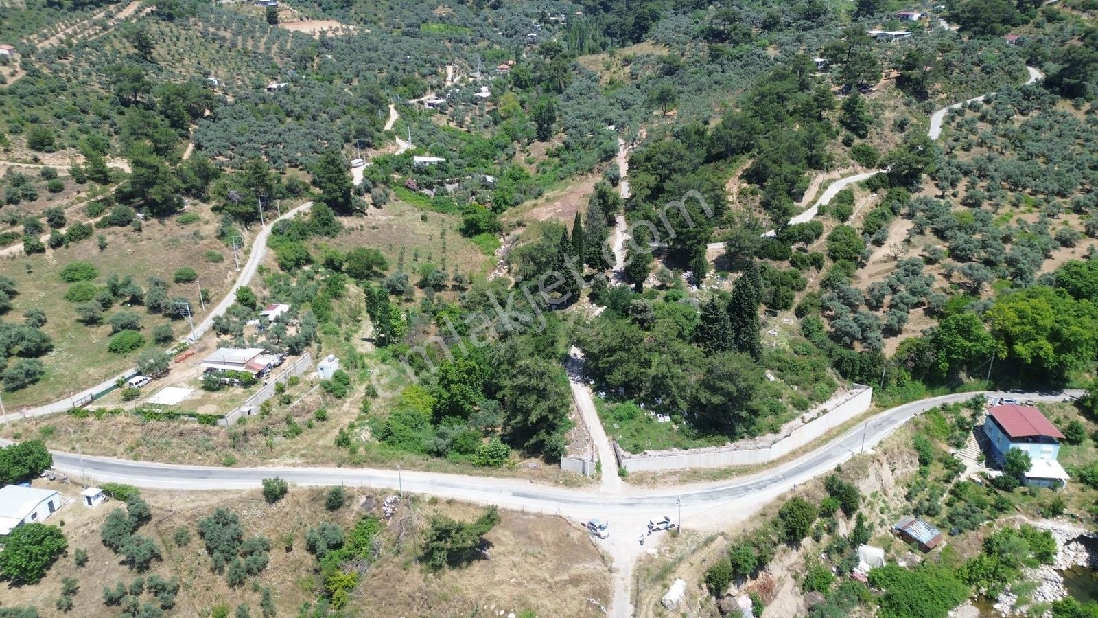 Erz'den Kemalpaşa Armutluda 2 Adet Ayrı Ayrı Tek Tapulu Bahçe — fotoğraf 9