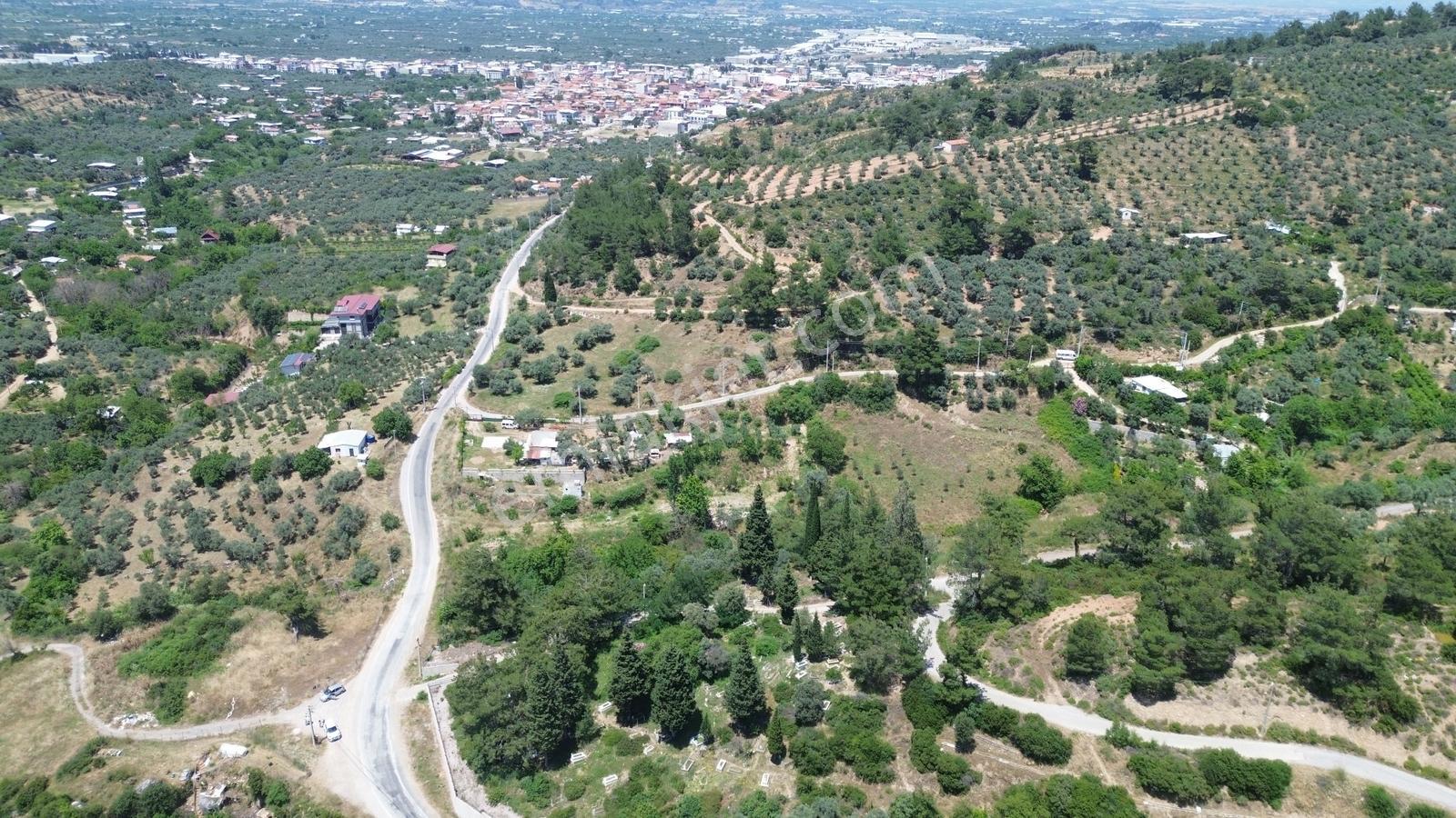 Erz'den Kemalpaşa Armutluda 2 Adet Ayrı Ayrı Tek Tapulu Bahçe — fotoğraf 10