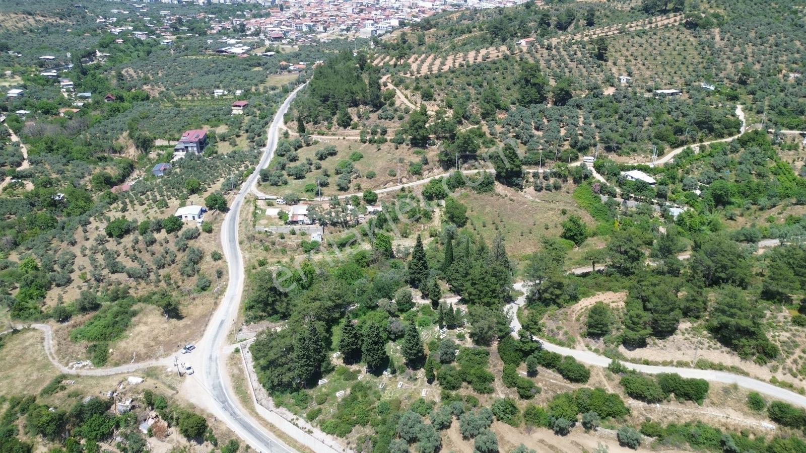 Erz'den Kemalpaşa Armutluda 2 Adet Ayrı Ayrı Tek Tapulu Bahçe — fotoğraf 11