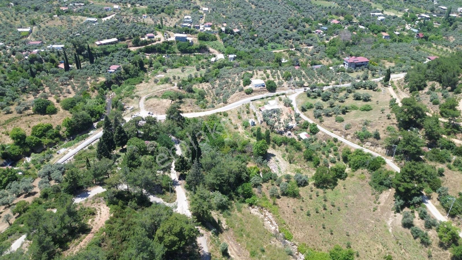 Erz'den Kemalpaşa Armutluda 2 Adet Ayrı Ayrı Tek Tapulu Bahçe — fotoğraf 12