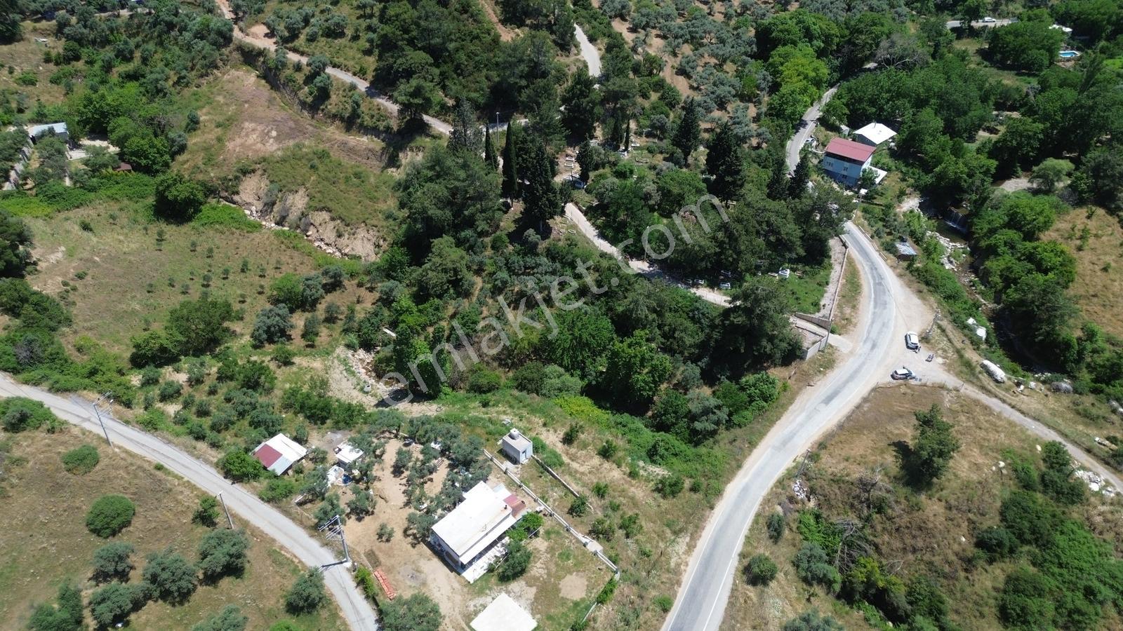 Erz'den Kemalpaşa Armutluda 2 Adet Ayrı Ayrı Tek Tapulu Bahçe — fotoğraf 14