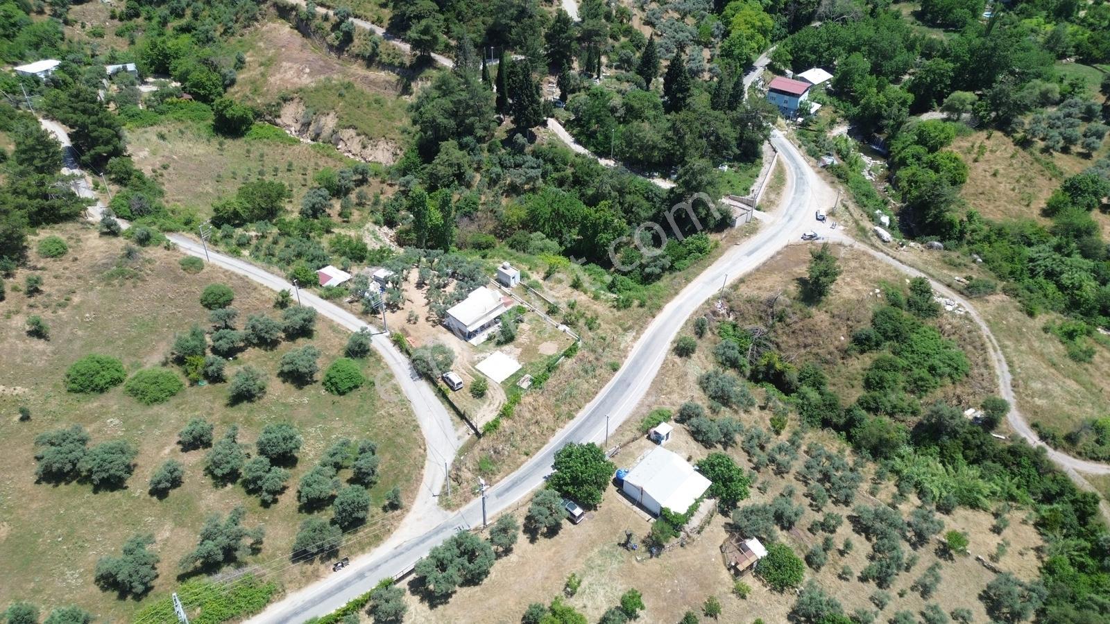Erz'den Kemalpaşa Armutluda 2 Adet Ayrı Ayrı Tek Tapulu Bahçe — fotoğraf 15