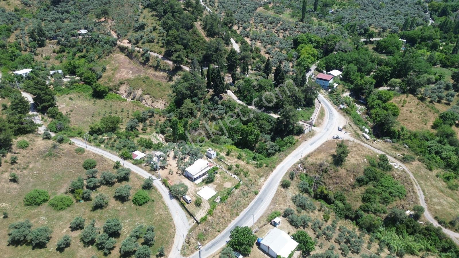 Erz'den Kemalpaşa Armutluda 2 Adet Ayrı Ayrı Tek Tapulu Bahçe — fotoğraf 16