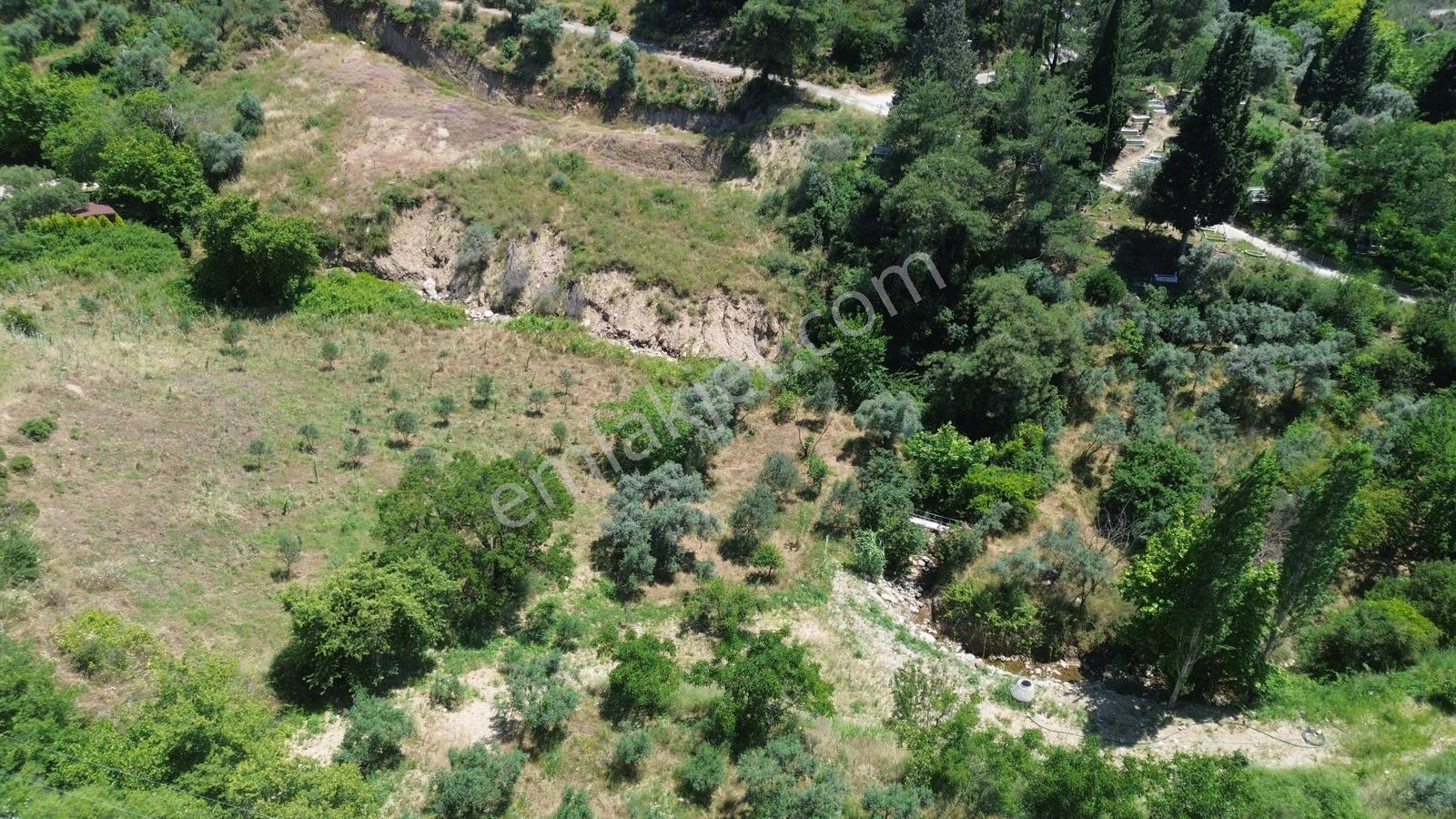 Erz'den Kemalpaşa Armutluda 2 Adet Ayrı Ayrı Tek Tapulu Bahçe — fotoğraf 17