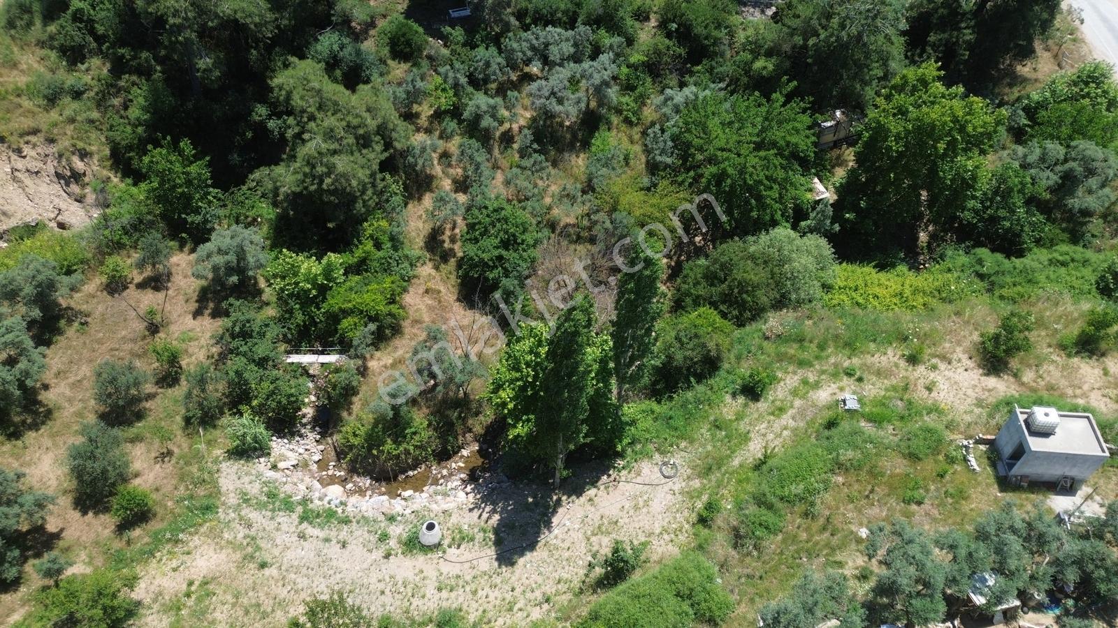 Erz'den Kemalpaşa Armutluda 2 Adet Ayrı Ayrı Tek Tapulu Bahçe — fotoğraf 18