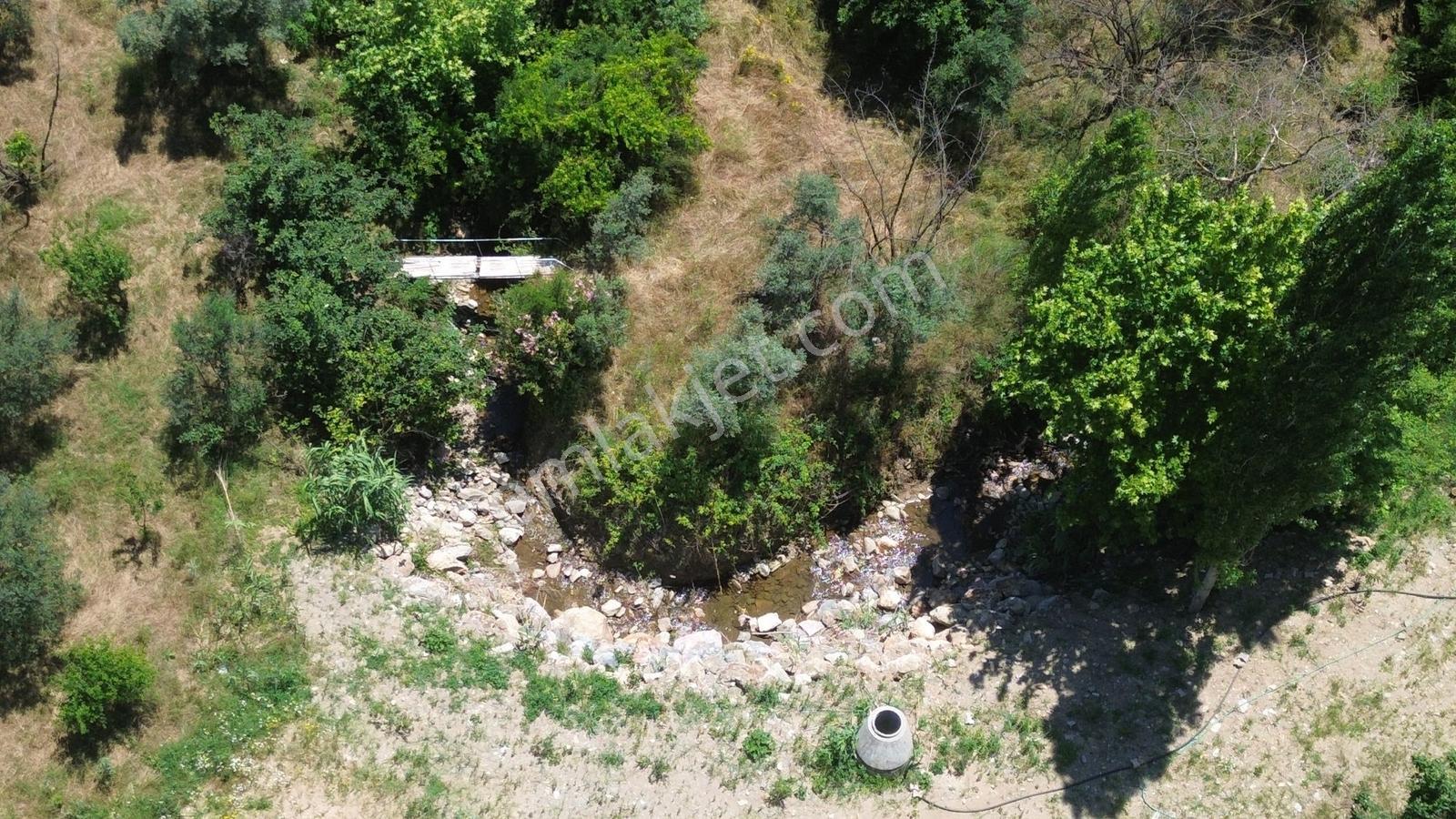 Erz'den Kemalpaşa Armutluda 2 Adet Ayrı Ayrı Tek Tapulu Bahçe — fotoğraf 23