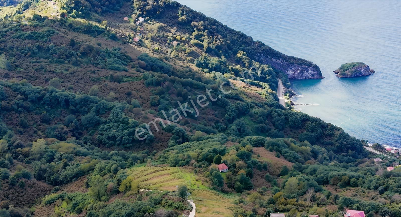 Perşembe Hoynat Evlerinde Hayalinizdeki Satılık Müstakil Ev. — fotoğraf 12