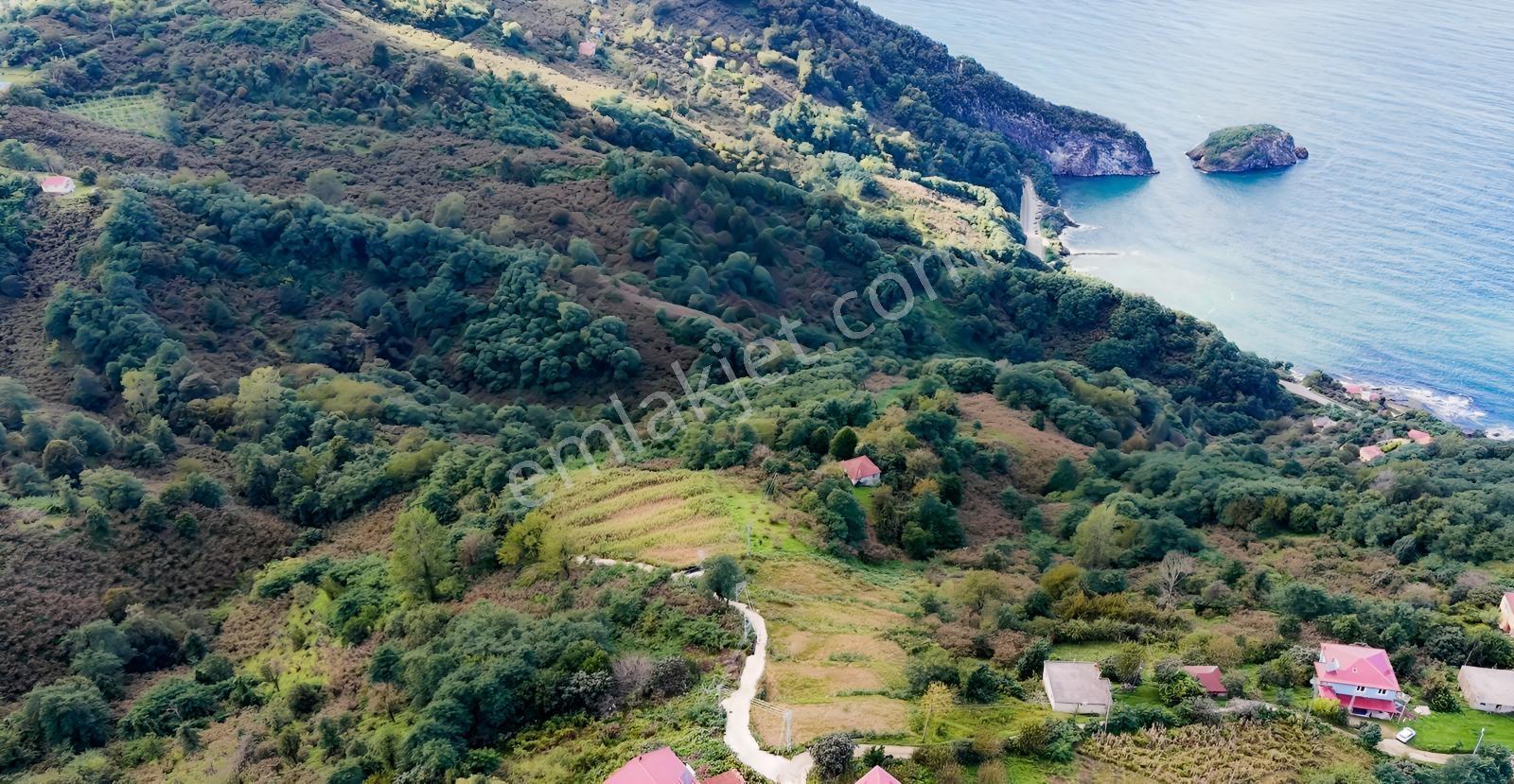Perşembe Hoynat Evlerinde Hayalinizdeki Satılık Müstakil Ev. — fotoğraf 13