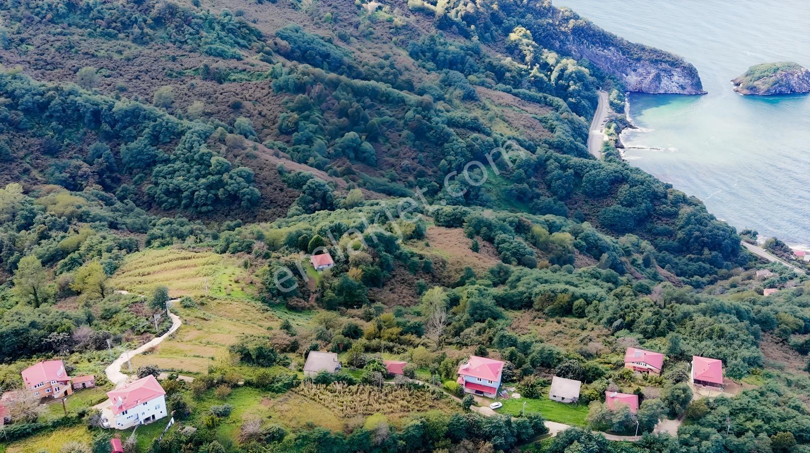 Perşembe Hoynat Evlerinde Hayalinizdeki Satılık Müstakil Ev. — fotoğraf 15