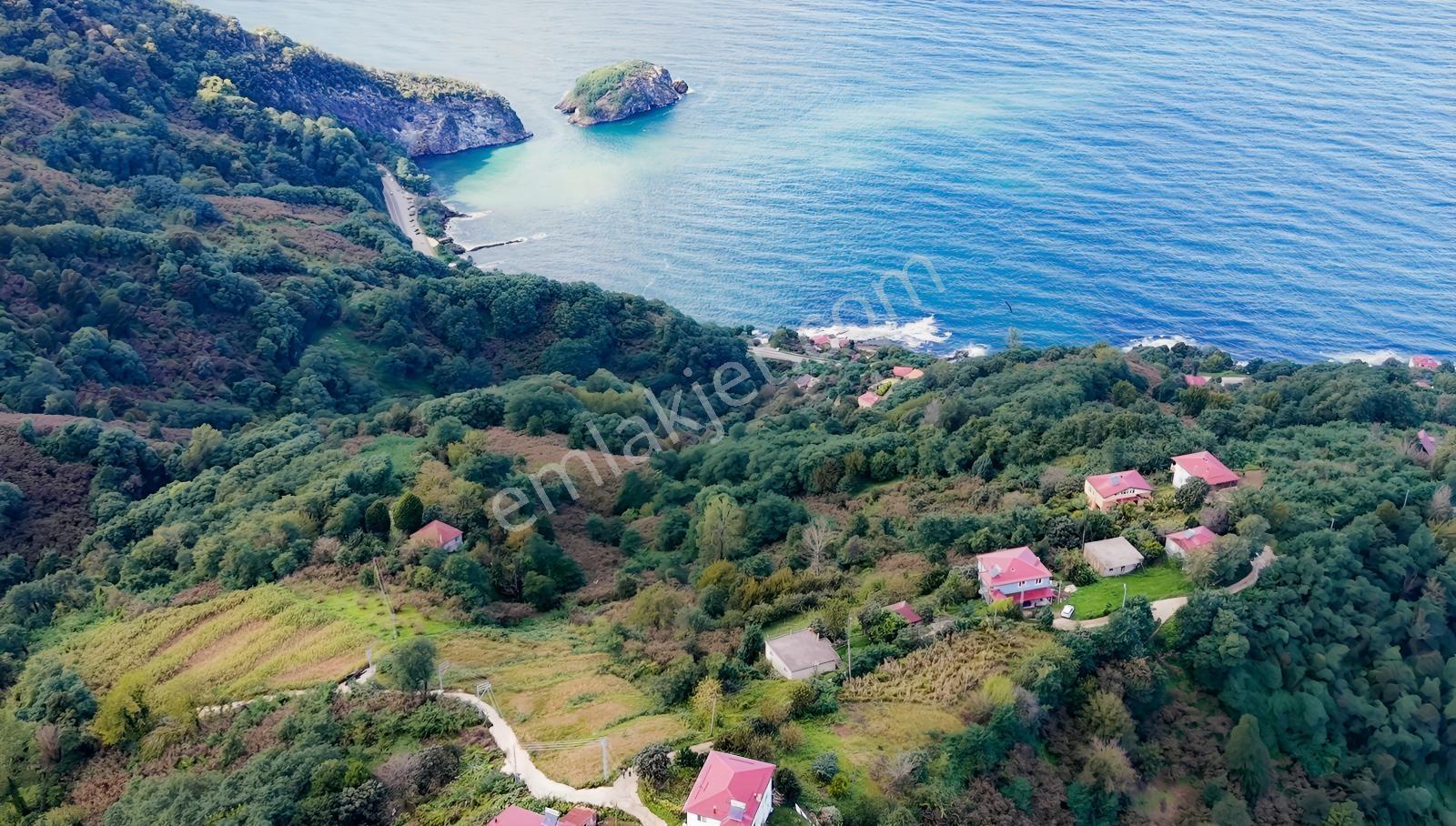 Perşembe Hoynat Evlerinde Hayalinizdeki Satılık Müstakil Ev. — fotoğraf 16