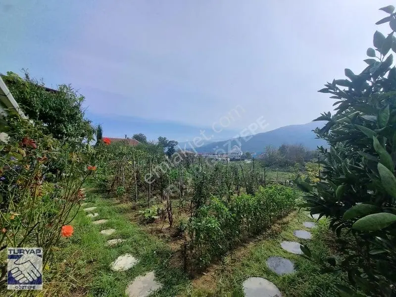 Turyaptan Çınarcık Yalı'da Denize 600 Mt Mesafede Müstakil Villa — fotoğraf 26