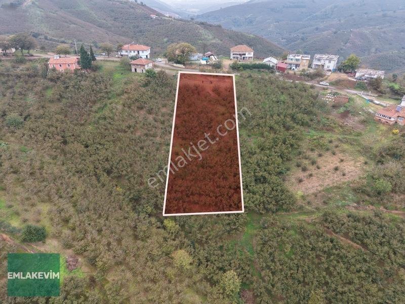 Emlak Evim - Hendek Dereköy De 1.750 M2 Konut İmarlı Arsa — fotoğraf 2