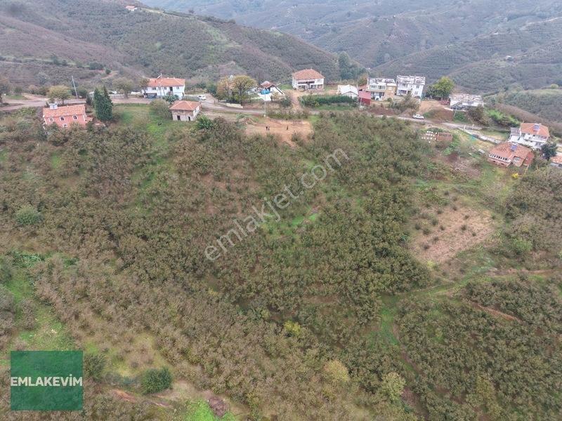 Emlak Evim - Hendek Dereköy De 1.750 M2 Konut İmarlı Arsa — fotoğraf 3