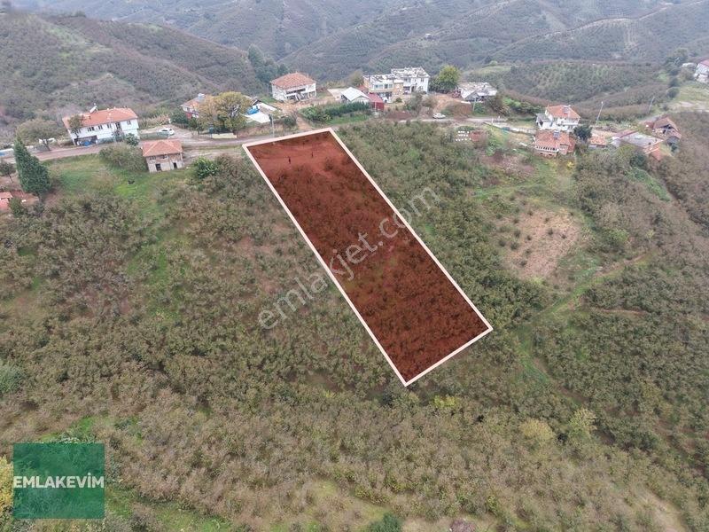 Emlak Evim - Hendek Dereköy De 1.750 M2 Konut İmarlı Arsa — fotoğraf 4