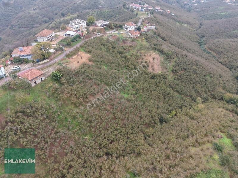 Emlak Evim - Hendek Dereköy De 1.750 M2 Konut İmarlı Arsa — fotoğraf 5