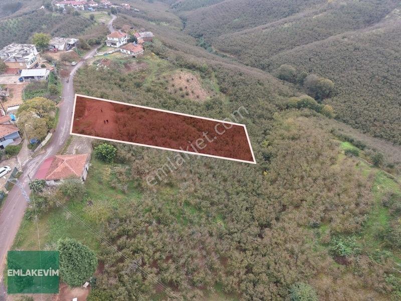 Emlak Evim - Hendek Dereköy De 1.750 M2 Konut İmarlı Arsa — fotoğraf 6