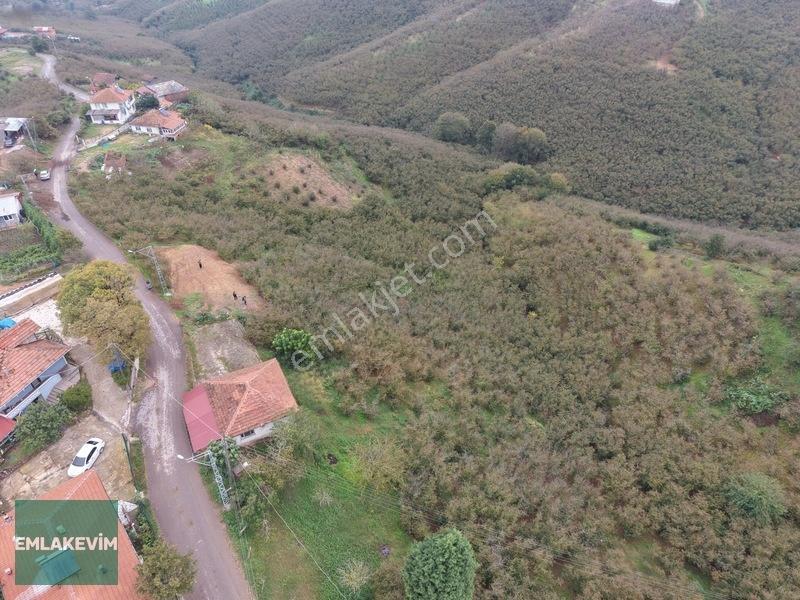Emlak Evim - Hendek Dereköy De 1.750 M2 Konut İmarlı Arsa — fotoğraf 7