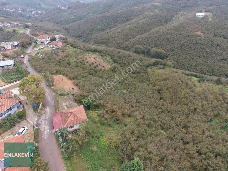 Emlak Evim - Hendek Dereköy De 1.750 M2 Konut İmarlı Arsa — fotoğraf 8