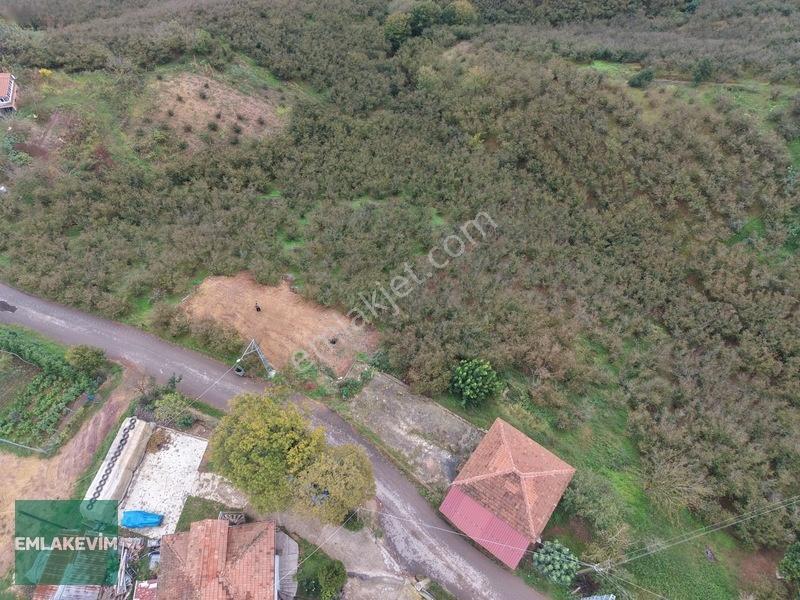 Emlak Evim - Hendek Dereköy De 1.750 M2 Konut İmarlı Arsa — fotoğraf 10