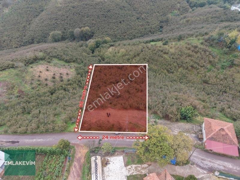 Emlak Evim - Hendek Dereköy De 1.750 M2 Konut İmarlı Arsa — fotoğraf 11