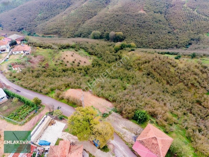 Emlak Evim - Hendek Dereköy De 1.750 M2 Konut İmarlı Arsa — fotoğraf 12