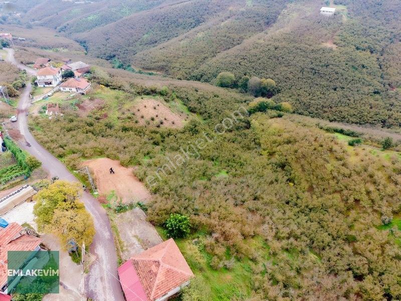 Emlak Evim - Hendek Dereköy De 1.750 M2 Konut İmarlı Arsa — fotoğraf 13